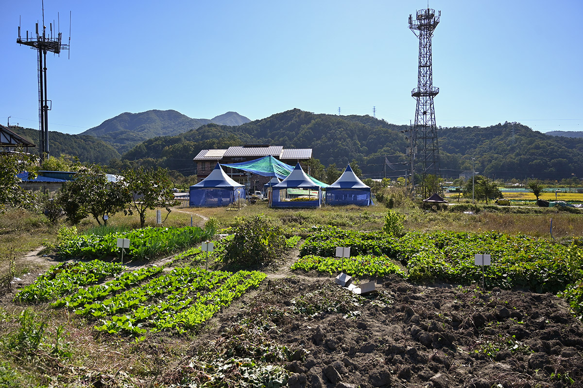 원색명화마을