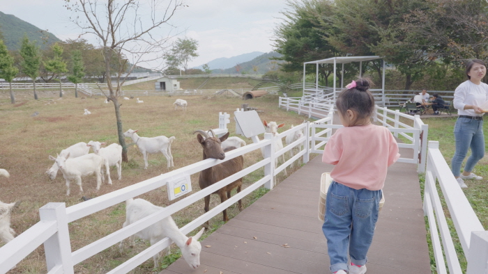 산양교감체험 + 쿠킹교실