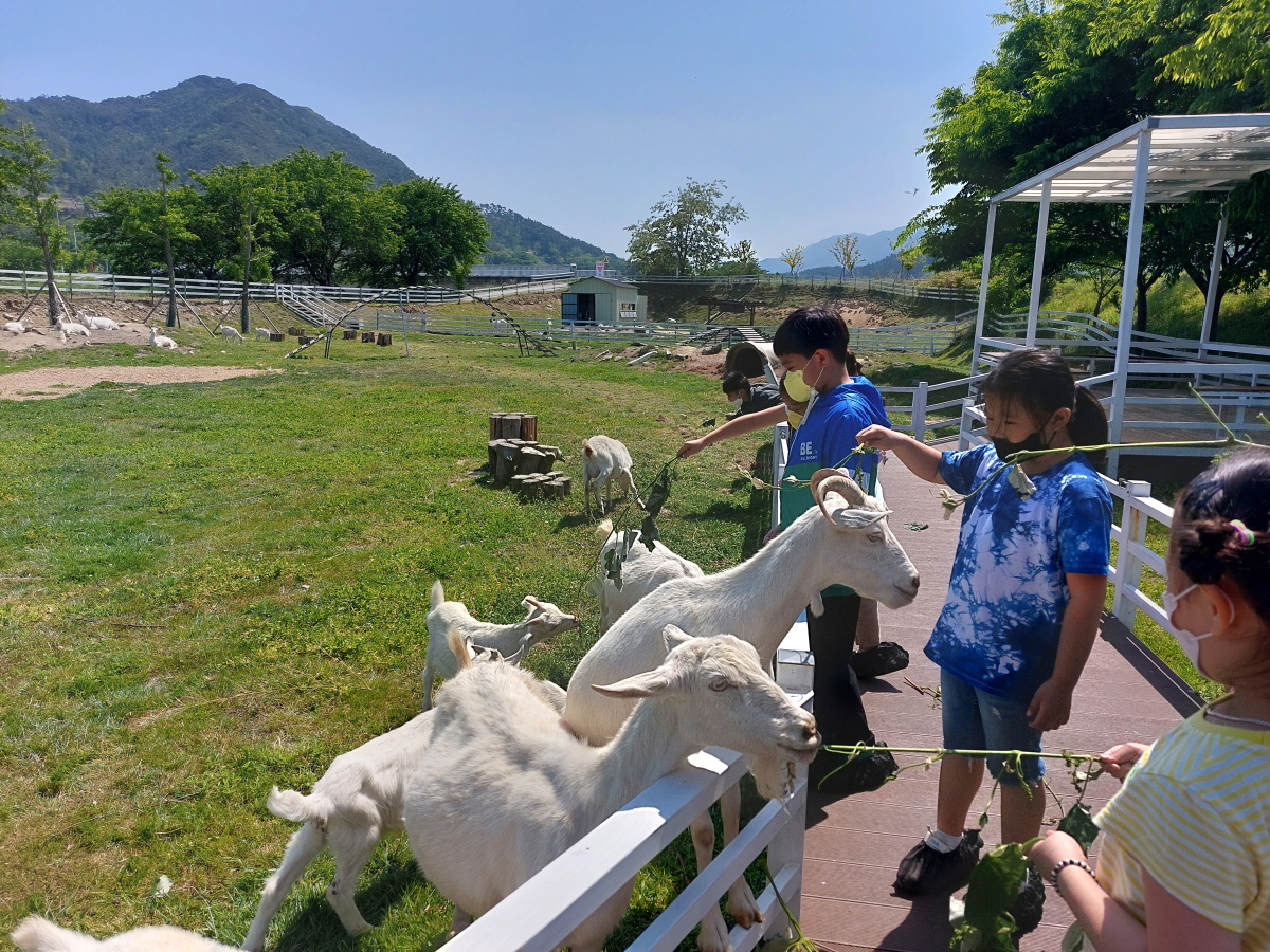 산양교감체험 + 쿠킹교실