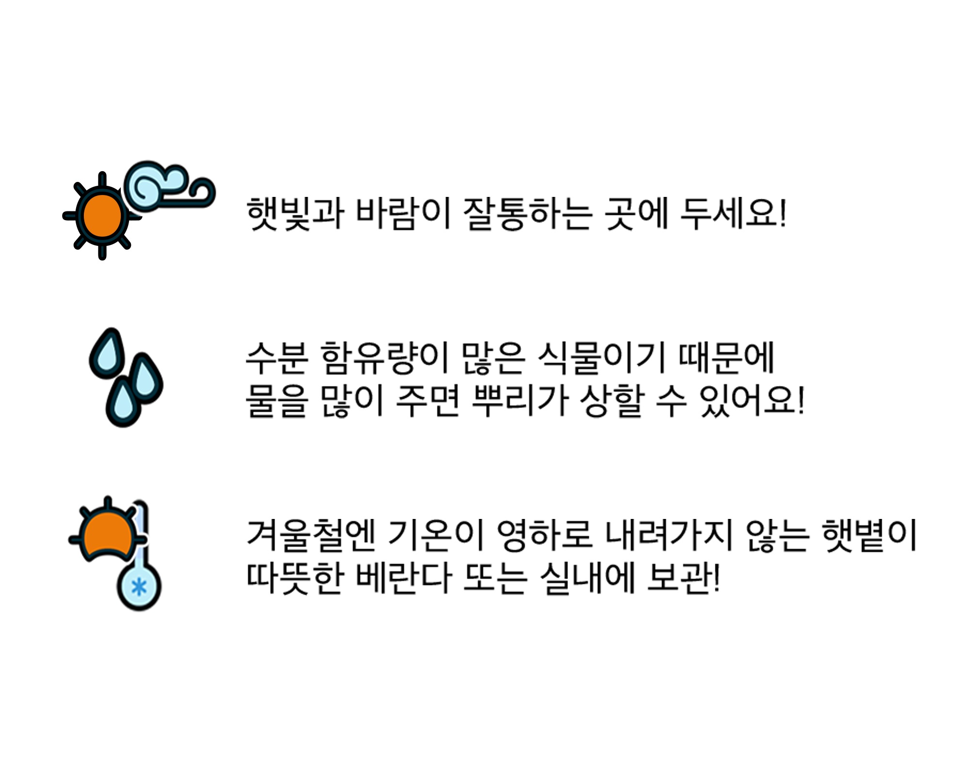 119알로에 화분 만들기 체험