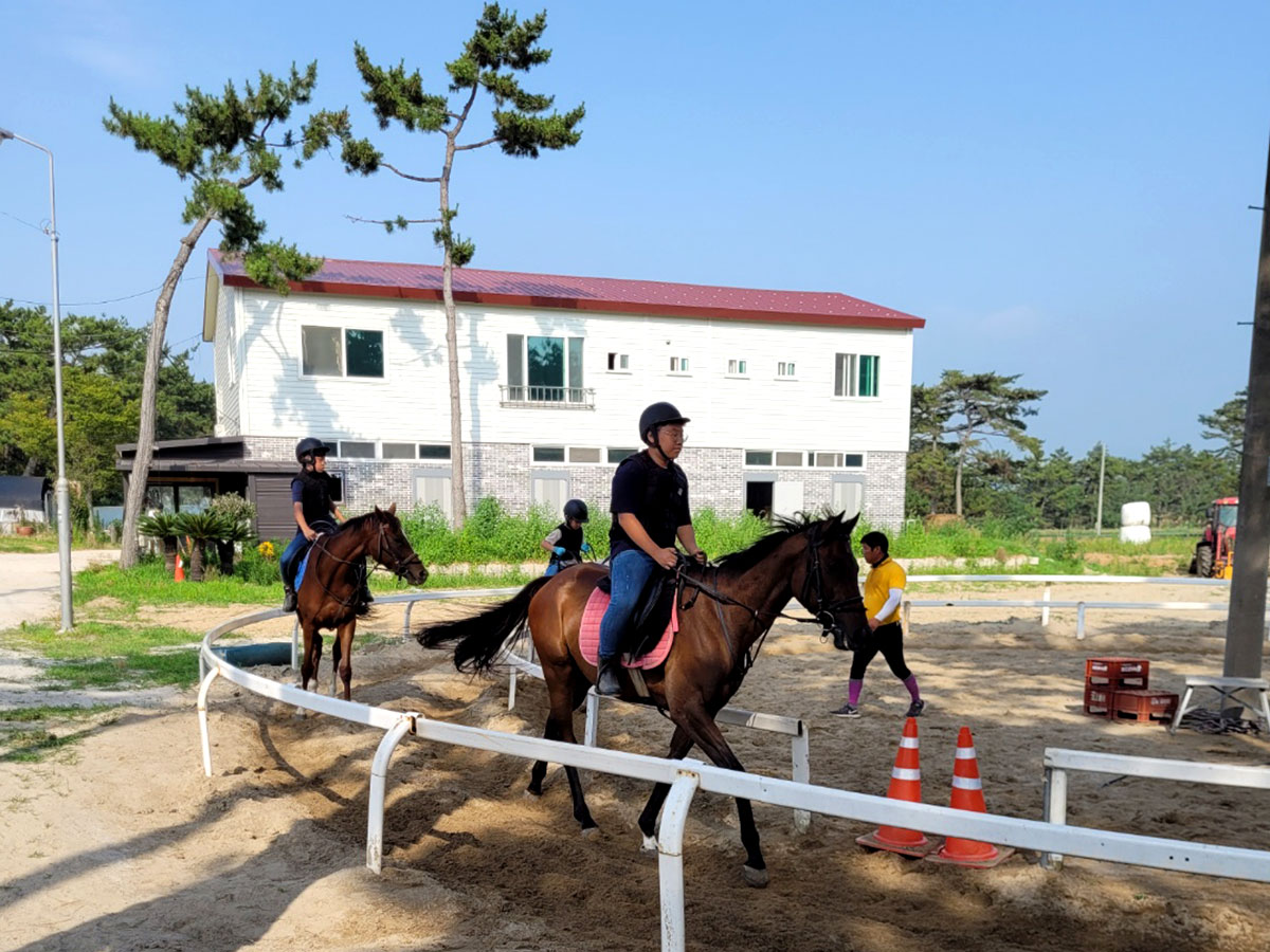 승마체험