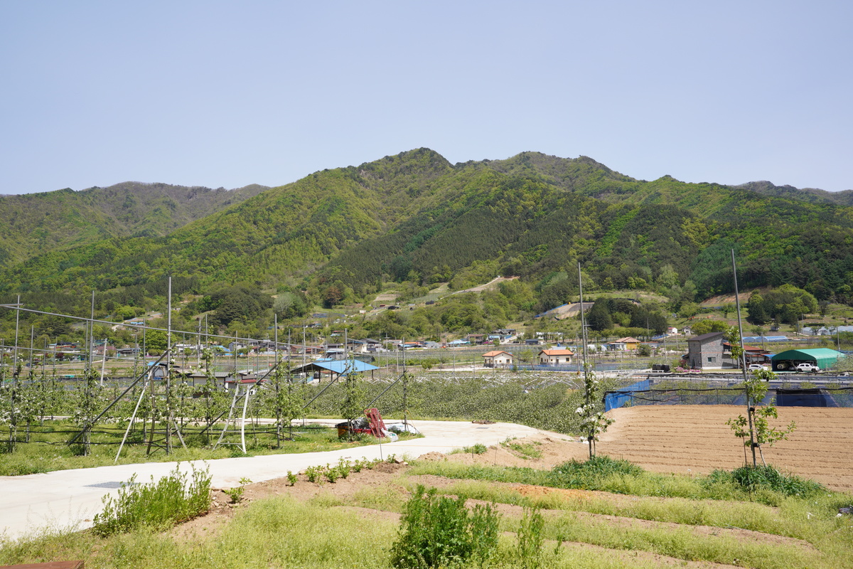 꽃피는산골농원