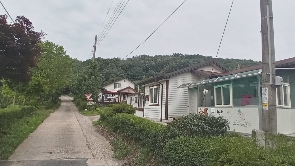 들국화방