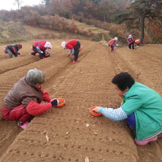 감동새마을회