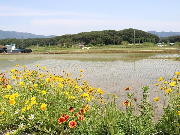 솔바람권역마을