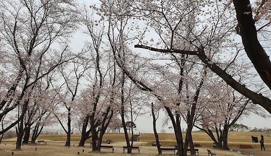 익산 왕궁리유적