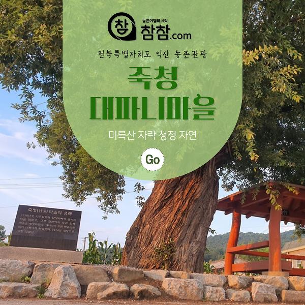 익산 죽청 대파니마을